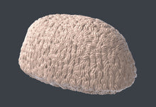 Load image into Gallery viewer, Forest Undergrowth Terrain Set| Forest Scatter Terrain | Mushroom Scatter Terrain | Stump Terrain | Dungeons and Dragons | 32mm | 5e | DnD