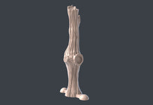 Load image into Gallery viewer, Forest Vine Wall Terrain Set | Vine Wall with magnet holes | Forest Portal | Vine Wall Terrain | Dungeons and Dragons | 32mm | 5e | DnD