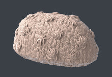 Load image into Gallery viewer, Forest Undergrowth Terrain Set| Forest Scatter Terrain | Mushroom Scatter Terrain | Stump Terrain | Dungeons and Dragons | 32mm | 5e | DnD