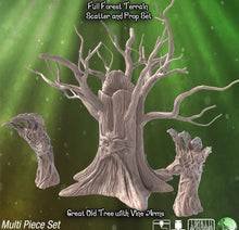 Load image into Gallery viewer, Grandfather Tree Terrain Set| Sentient Tree | Awakened Tree | Forest Scatter Terrain | Deku Tree | Dungeons and Dragons | 32mm | 5e | DnD