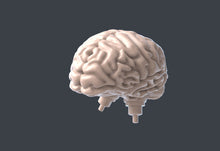 Load image into Gallery viewer, Cyberpunk Terrain Set 5 | Cyberpunk Cannon | Cyberpunk Portal | Cyberpunk Scatter Terrain | Science Fiction Terrain | Space Terrain | 32mm