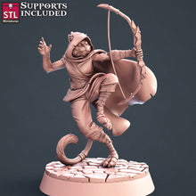 Load image into Gallery viewer, Tabaxi Assassin Set | Cat Folk | Rogue | Fighter | Monk | Dnd Miniatures | DnD 5e | Dungeons and Dragons | RPG