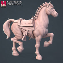 Load image into Gallery viewer, Horse Trainer Set: Warhorse, Pack Mule - Pathfinder RPG DnD 5e, D&D, Pathfinder