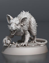 Load image into Gallery viewer, Giant Rats Set: 32mm Resin Miniatures for DnD, Pathfinder, Giant Mice, D&D