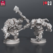 Load image into Gallery viewer, Two-Headed Troll Miniature: ABS-Like Resin, D&D RPG, 32mm