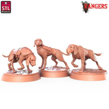 Load image into Gallery viewer, Dog/Hound Familiar: Rangers of Shadow Deep Hound Miniature, 32mm Resin, DnD, Pathfinder