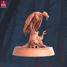 Load image into Gallery viewer, Vulture Miniature Set: 3D Printed Resin, RPG DnD 5e