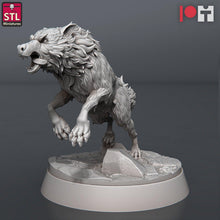 Load image into Gallery viewer, Werewolf Miniatures | Werewolves | Wolf Miniatures | Wolves | Dire Wolves | Wild Dogs | Curse of Strahd | DnD | Dungeons and Dragons | RPG