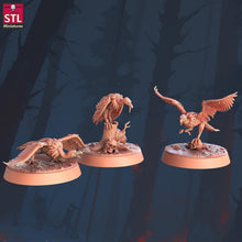 Load image into Gallery viewer, Vulture Miniature Set: 3D Printed Resin, RPG DnD 5e