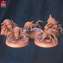 Load image into Gallery viewer, Giant Spider Miniature Set: 32mm Resin, Dungeons and Dragons