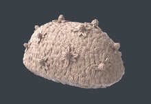 Load image into Gallery viewer, Forest Undergrowth Terrain Set| Forest Scatter Terrain | Mushroom Scatter Terrain | Stump Terrain | Dungeons and Dragons | 32mm | 5e | DnD
