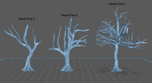 Load image into Gallery viewer, Forest Trees Terrain Set | Trees | Forest Scatter Terrain | Dead Trees | Dungeons and Dragons | 32mm | 5e | DnD | 5th Edition | Enchanted
