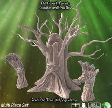 Load image into Gallery viewer, Grandfather Tree Terrain Set| Sentient Tree | Awakened Tree | Forest Scatter Terrain | Deku Tree | Dungeons and Dragons | 32mm | 5e | DnD
