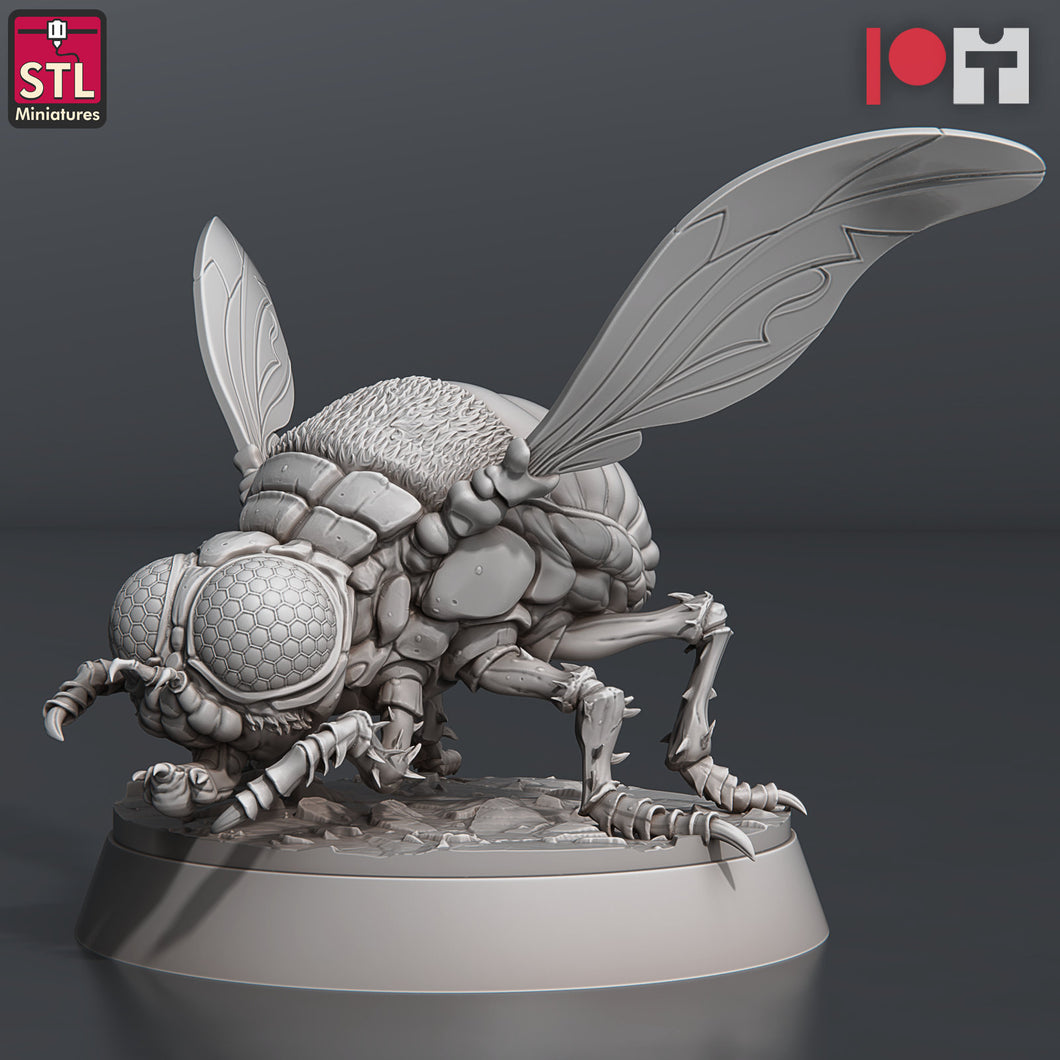 Giant Fly Set | Giant Flies | Giant Insects | Giant Bugs | Frostgrave | Fly Swarm | Pathfinder | RPG | Dungeons and Dragons | DnD 5e