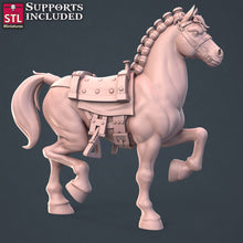 Load image into Gallery viewer, Horse Trainer Set | Warhorse | Riding Horse | Pack Horse| Pack Mule | Mount | Pathfinder | RPG | Dungeons and Dragons | DnD 5e
