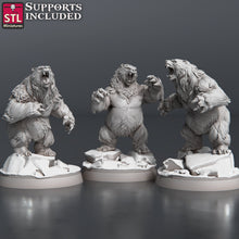 Load image into Gallery viewer, Bear Miniature Set | Brown Bear | Black Bear | Polar Bear | 5E | Dungeons and Dragons | Pathfinder | DnD | 5th Edition
