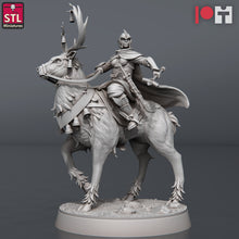 Load image into Gallery viewer, Noble Miniature Set | Nobleman/Noblewoman Set | Tournament Set | Carriage | Guard | Knight | Tabletop Terrain/DnD/Miniatures/Pathfinder
