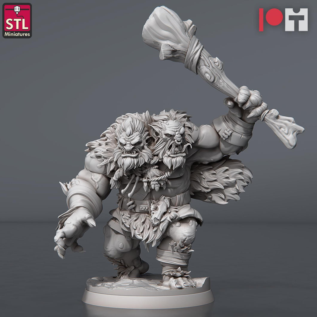 Two-Headed Troll Miniature: ABS-Like Resin, D&D RPG, 32mm