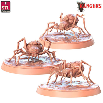 Giant Spider Familiar Miniature: Rangers of Shadow Deep, DnD 5E