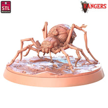 Load image into Gallery viewer, Giant Spider Familiar | Rangers of Shadow Deep Miniature | Wolf Spider | Familiar Spider | Dungeons and Dragons | DnD | 5E | 5th Edition
