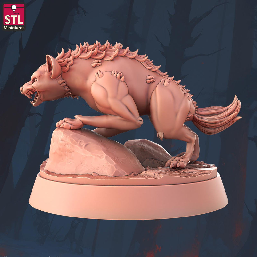 Hyena Miniature Set | Druid Wildshape | Ranger Familiar | Wild Hyena | African Hyena | Lion King | Dungeons and Dragons | DnD | 5E | 5th Ed