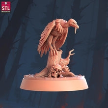 Load image into Gallery viewer, Vulture Miniature Set: 3D Printed Resin, RPG DnD 5e
