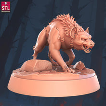 Load image into Gallery viewer, Hyena Miniature Set | Druid Wildshape | Ranger Familiar | Wild Hyena | African Hyena | Lion King | Dungeons and Dragons | DnD | 5E | 5th Ed

