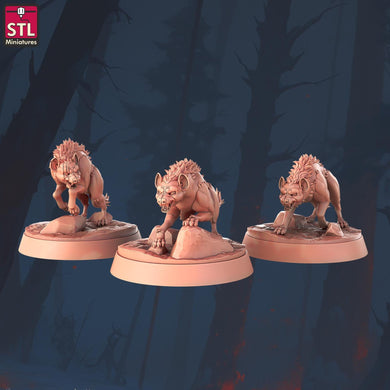 Hyena Miniature Set | Druid Wildshape | Ranger Familiar | Wild Hyena | African Hyena | Lion King | Dungeons and Dragons | DnD | 5E | 5th Ed