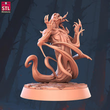 Load image into Gallery viewer, Shadow Monster | Tortured Soul | Wraith Miniature | Shade | Smoke Monster | Demon | Darkness | Dungeons and Dragons | 5E | Pathfinder | 32mm
