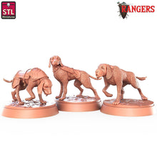 Load image into Gallery viewer, Dog/Hound Familiar: Rangers of Shadow Deep Hound Miniature, 32mm Resin, DnD, Pathfinder

