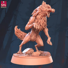 Load image into Gallery viewer, Wilderness Creature Starter Set | DnD Miniatures | Bear Wolf Spider Snake | 32mm Tabletop RPG Miniatures | D&amp;D Encounter

