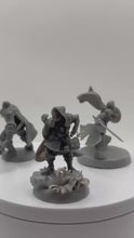 Load and play video in Gallery viewer, Healer's NPC Pack | DnD Miniatures | Cleric Paladin Druid | 32mm Tabletop RPG | NPC Miniatures
