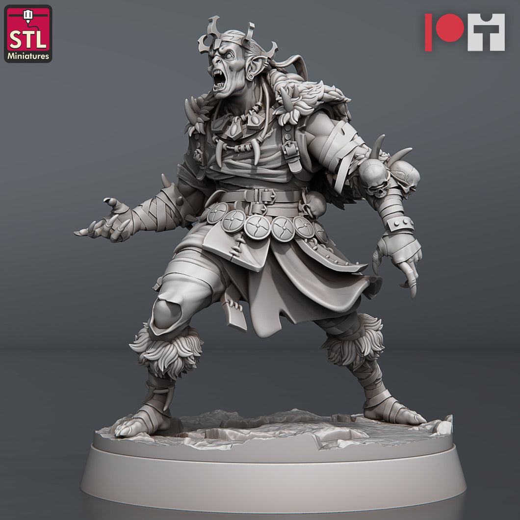 Ghoul Set | Ghoul King | Frostgrave | Revenant | Undead | Curse of Strahd | 32mm | RPG | Dungeons and Dragons | 5e DnD